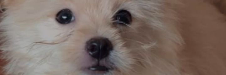 hey_itsmaeeeee's profile banner image