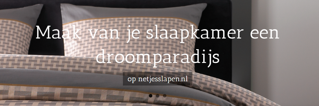 netjesslapen's profile banner image