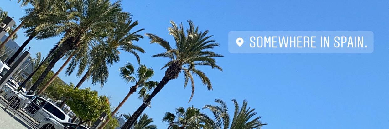rawr  ♡ banner