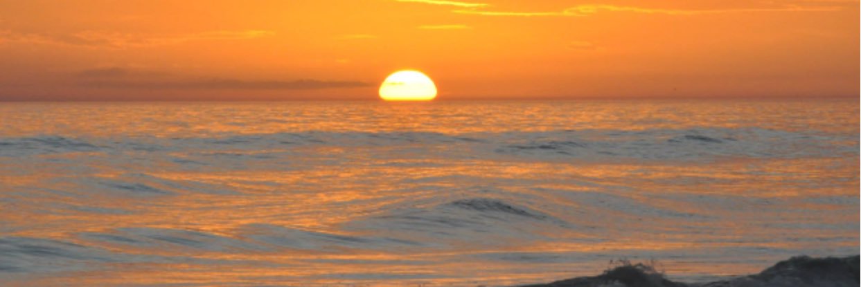 SabrinabBrown's profile banner image