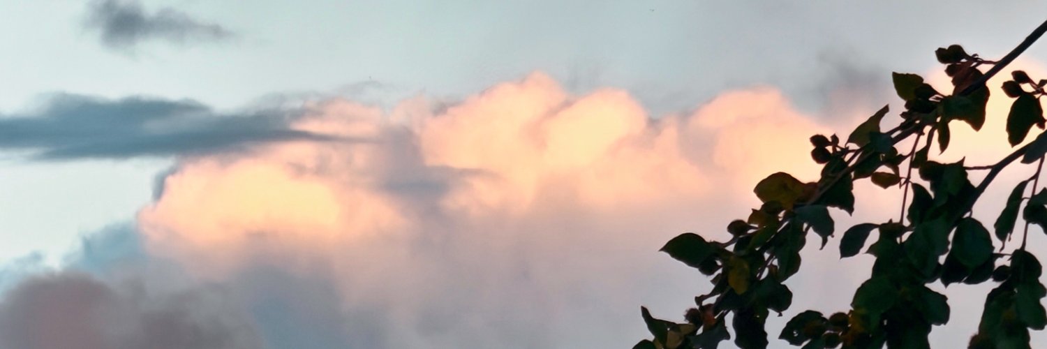softellie's profile banner image