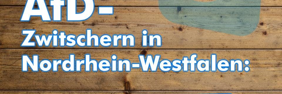 AfD Rhein.Bergischer banner
