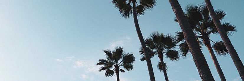 BreahSanders's profile banner image