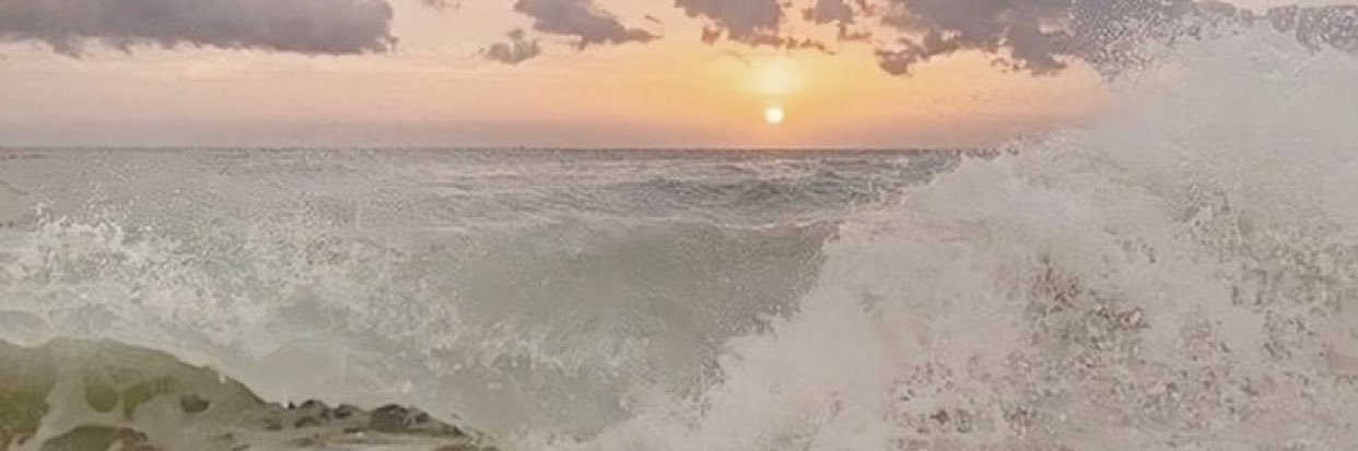 paaularincon's profile banner image
