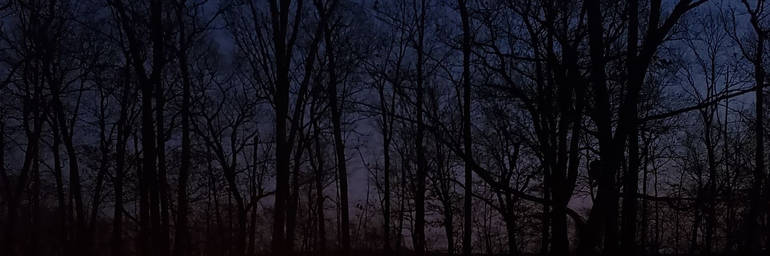Vylkira's profile banner image