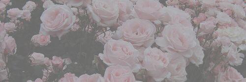 fara banner