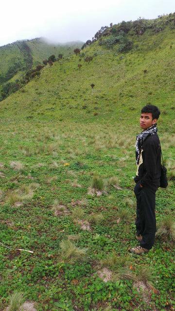 Keviinalvianto's profile banner image