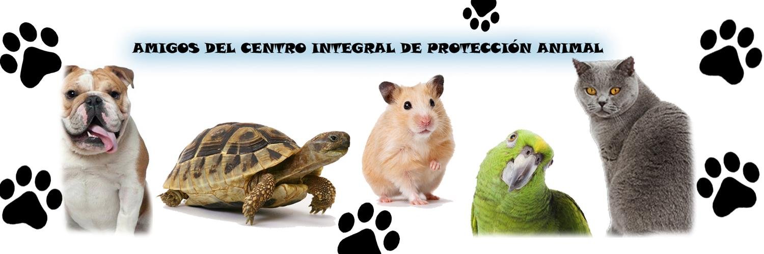 CipaAlcorcon's profile banner image