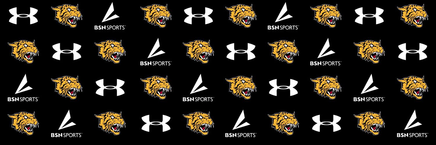 DHS Wildcat Athletics banner