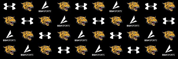 DIAMOND___HS Profile Banner