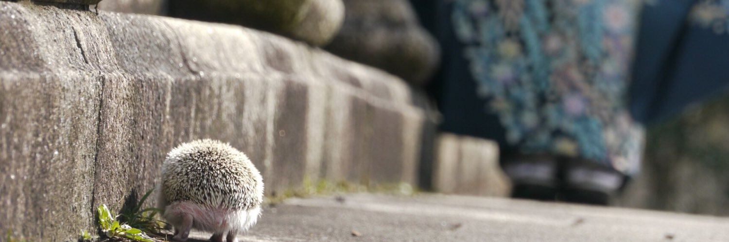 ShizuS3's profile banner image