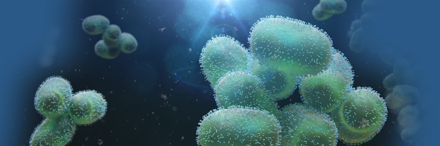 Colman O’Cathail banner