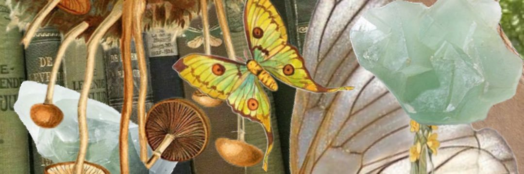 k_bessler's profile banner image