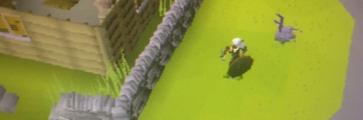 Austin Matthews banner