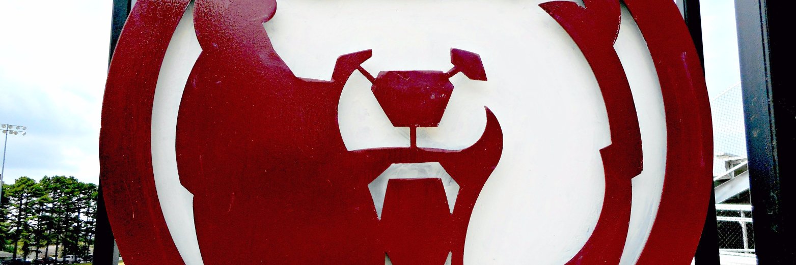 willowschool's profile banner image