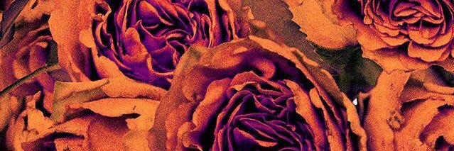 LTagg96's profile banner image