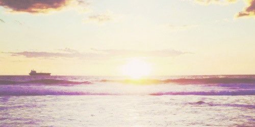 pcnkrxck's profile banner image