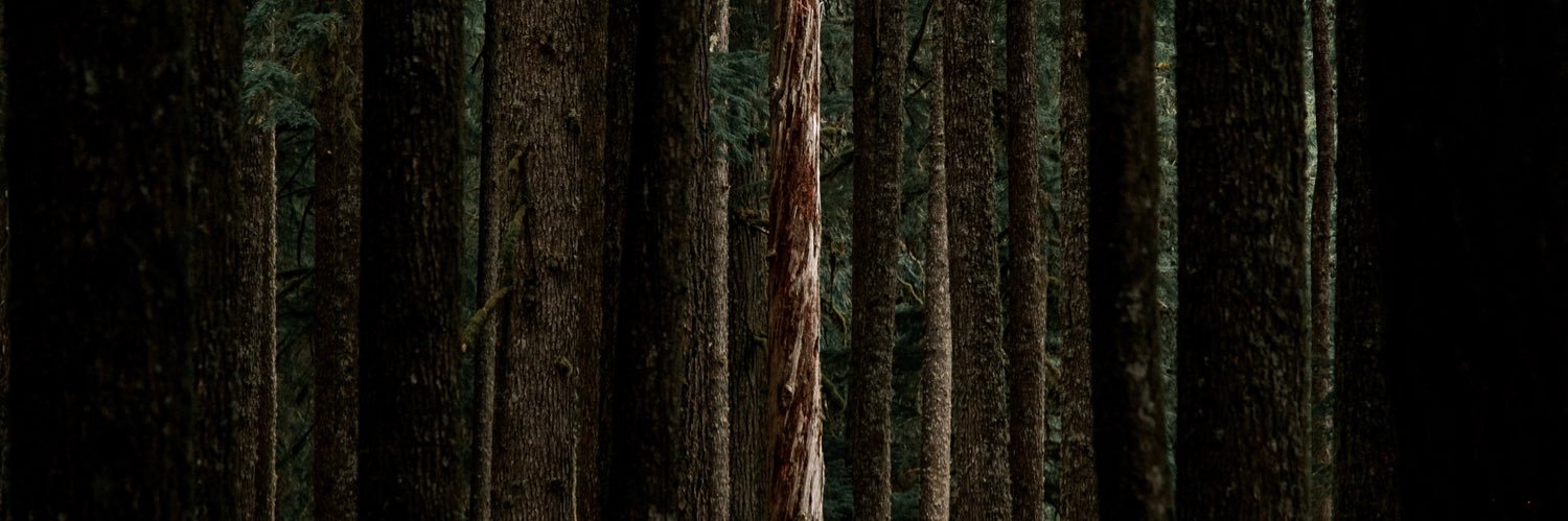 andrew_boonstra's profile banner image