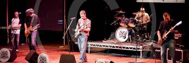 Wayne Hamilton banner