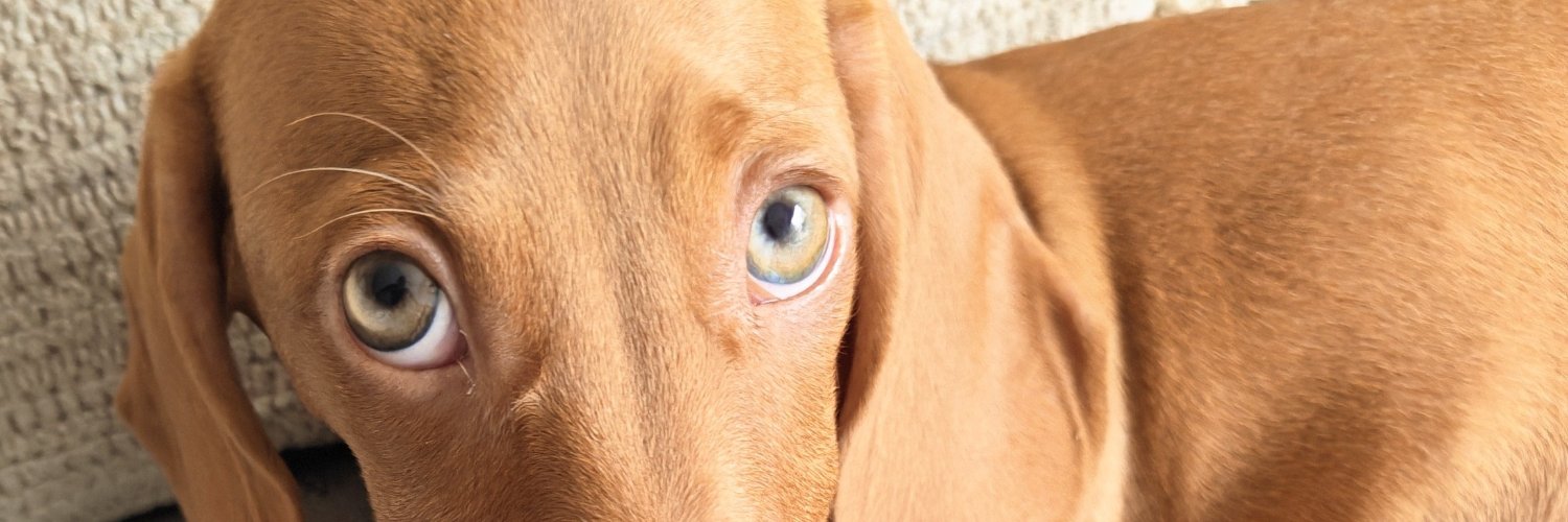 javu0108's profile banner image