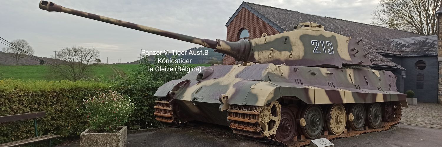 mlagleize1944's profile banner image