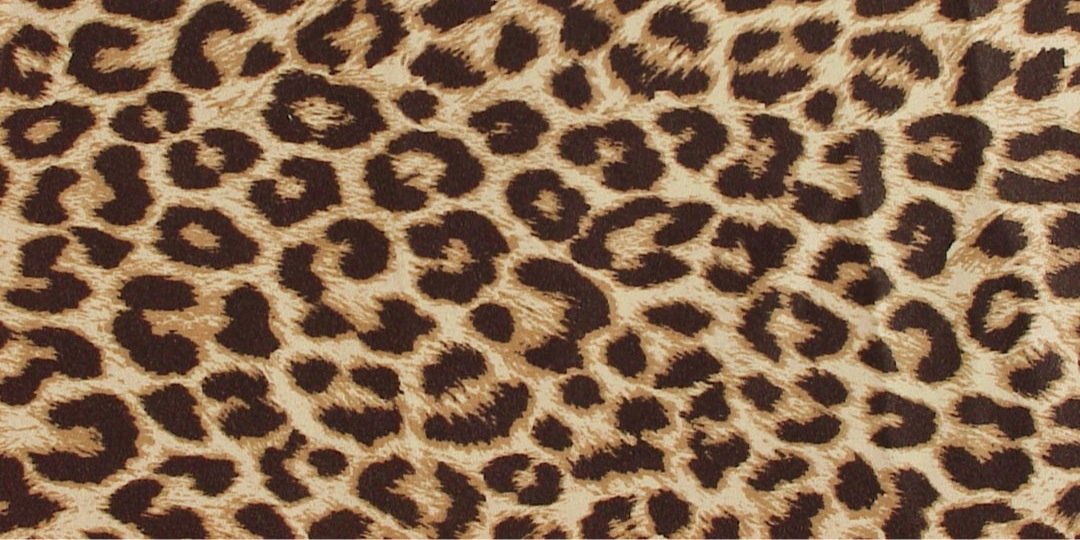 _steffylove's profile banner image
