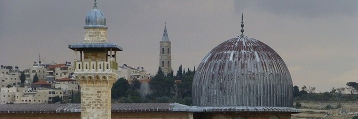 hali19447's profile banner image