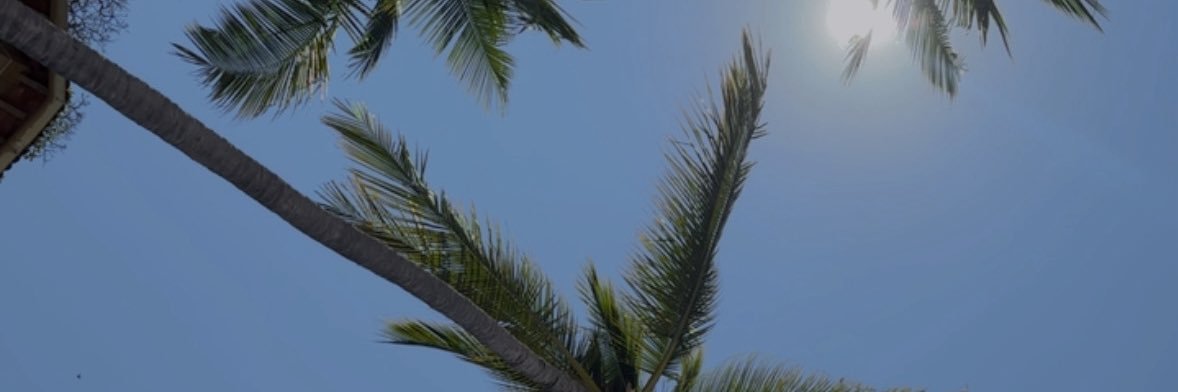 jucavps's profile banner image