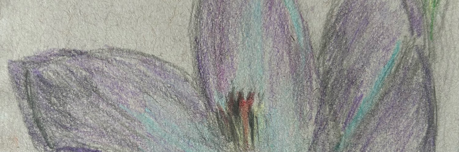 susanvela's profile banner image