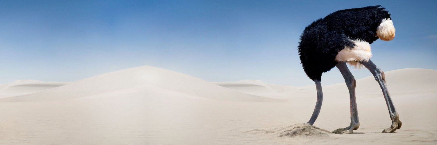 xaviaide's profile banner image