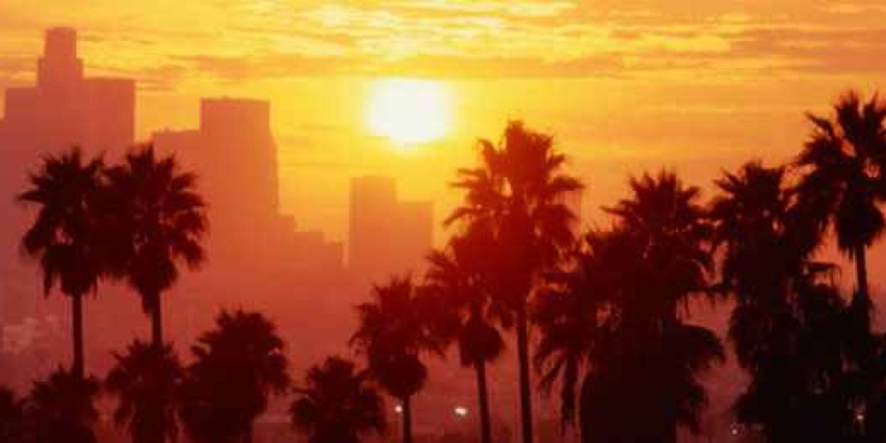 Niggas Luv Taylor banner