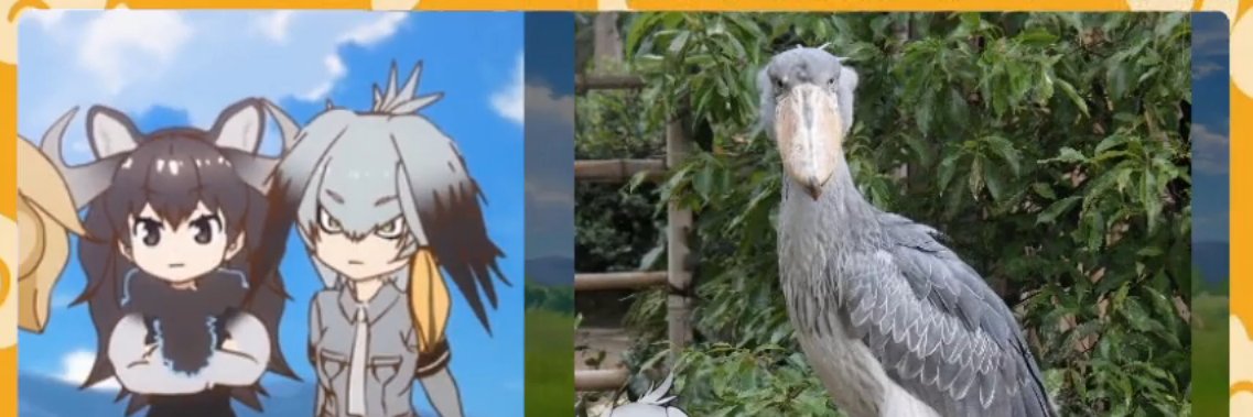 Agliny's profile banner image