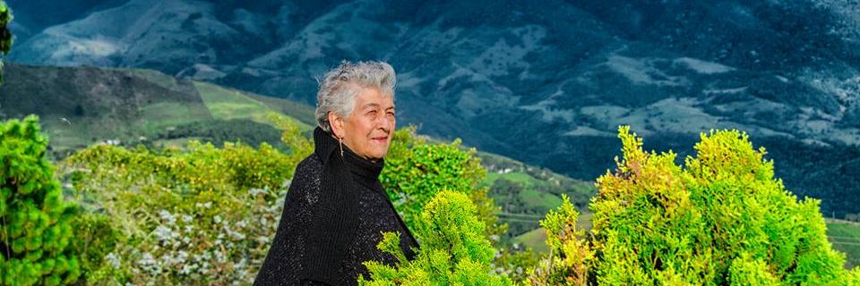 SolangerMoreno's profile banner image