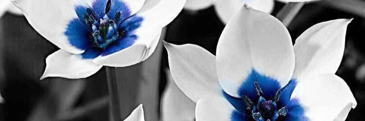 Hashim_Bastaki's profile banner image