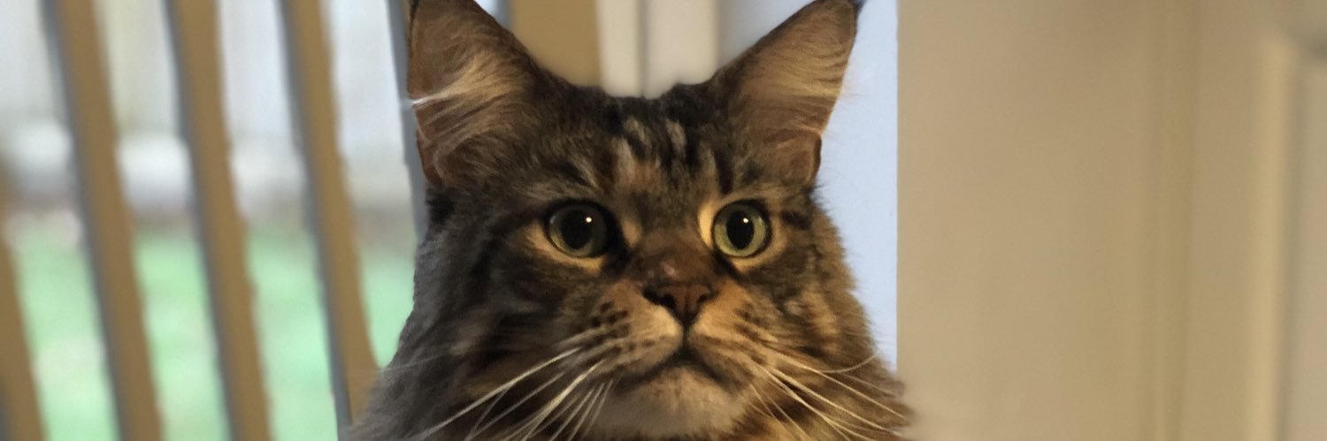 iamnategray's profile banner image