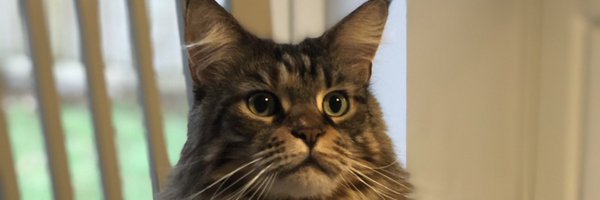 iamnategray Profile Banner