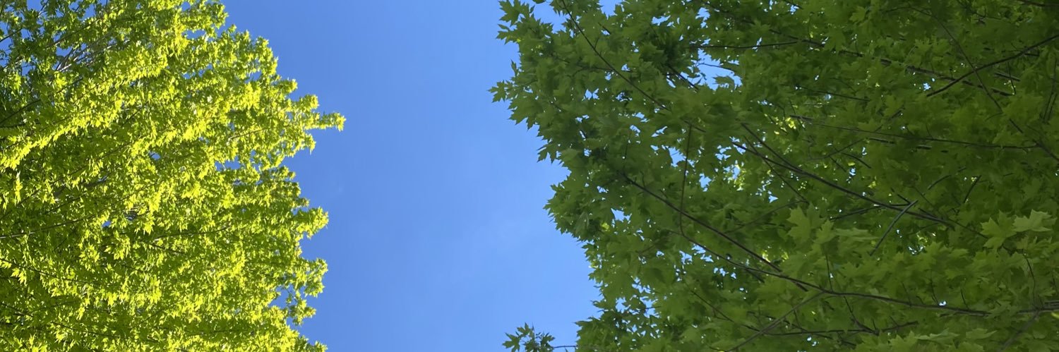 larmani3's profile banner image