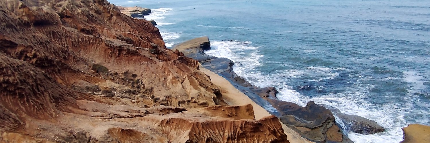 Madhusree⚕️ Singh, MD banner