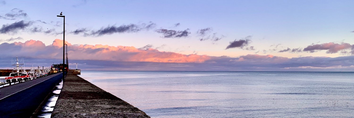 Elizabeth_GHill's profile banner image