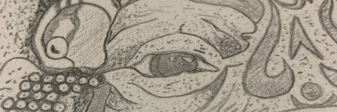 SmoochyWalrus's profile banner image