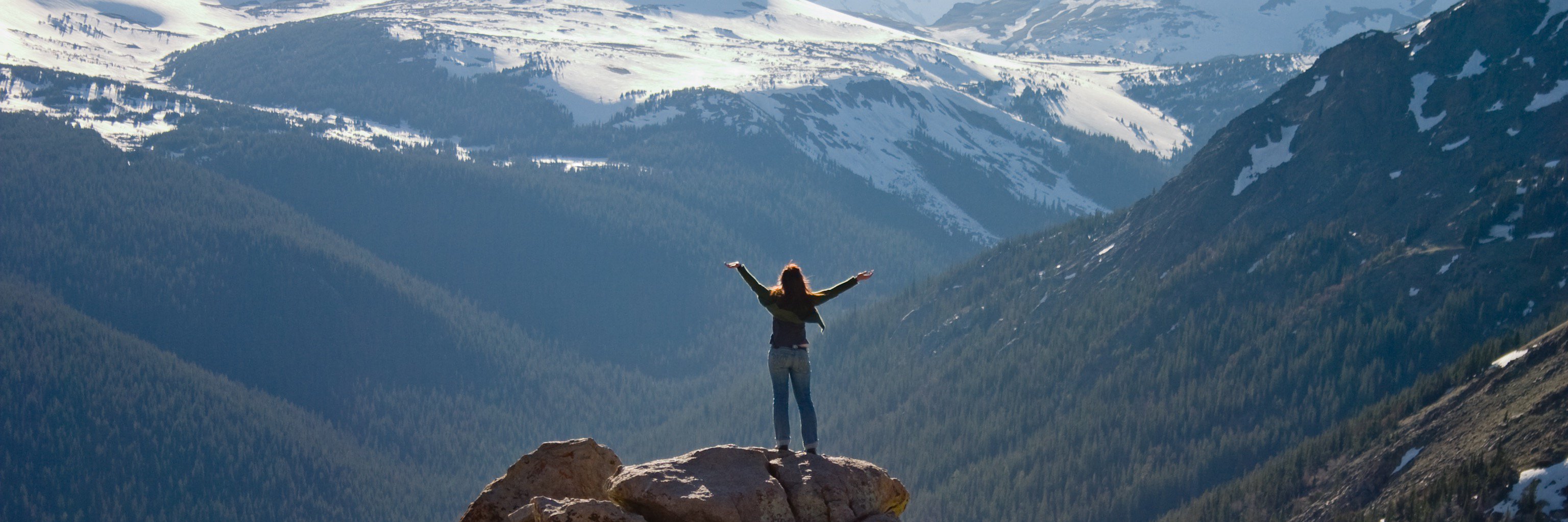 Lillybilly's profile banner image