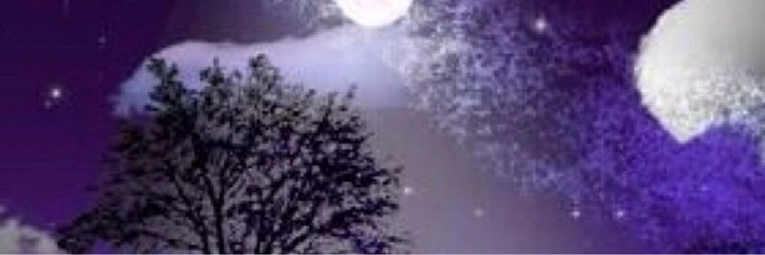 tsk__sex's profile banner image