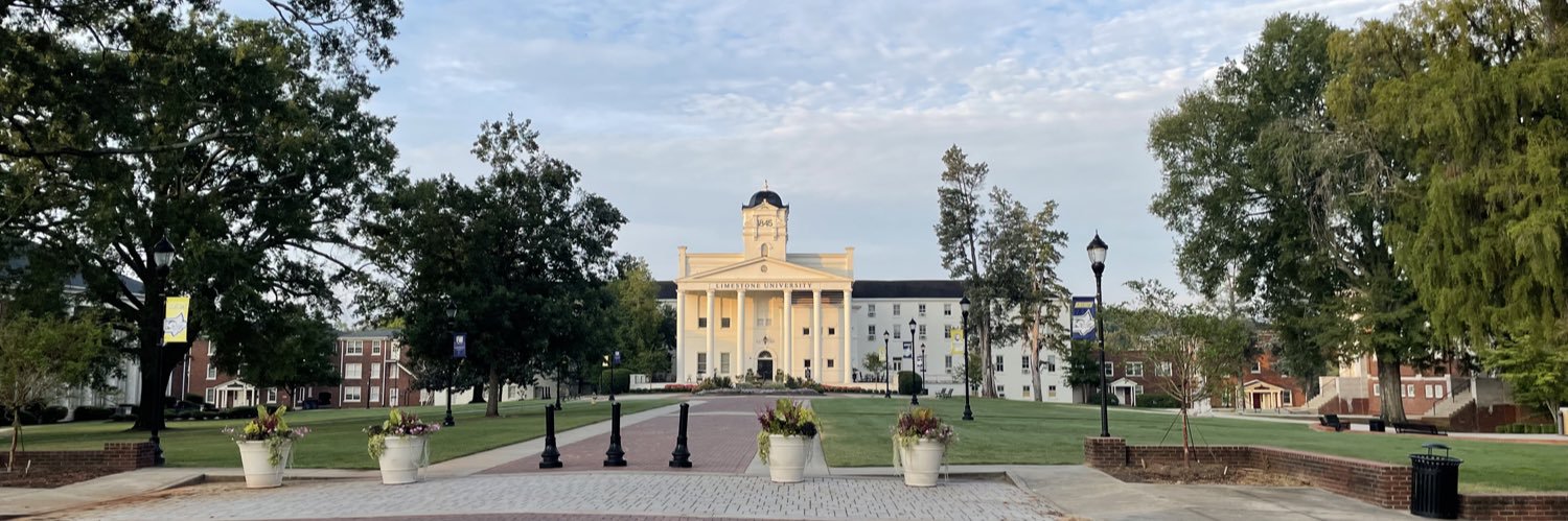 Limestone Baseball banner