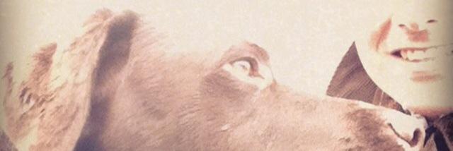 GrantAgnew's profile banner image