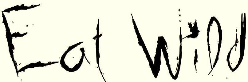 CalumEAThompson's profile banner image