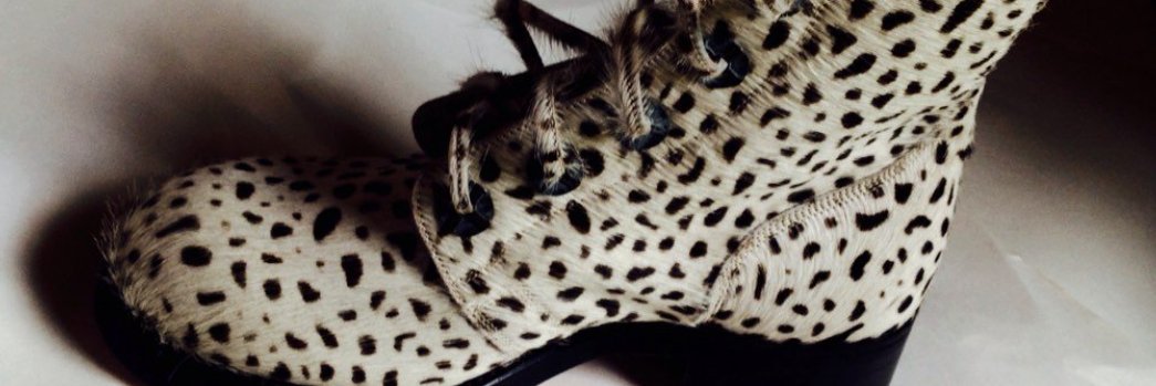 shoeniversity banner