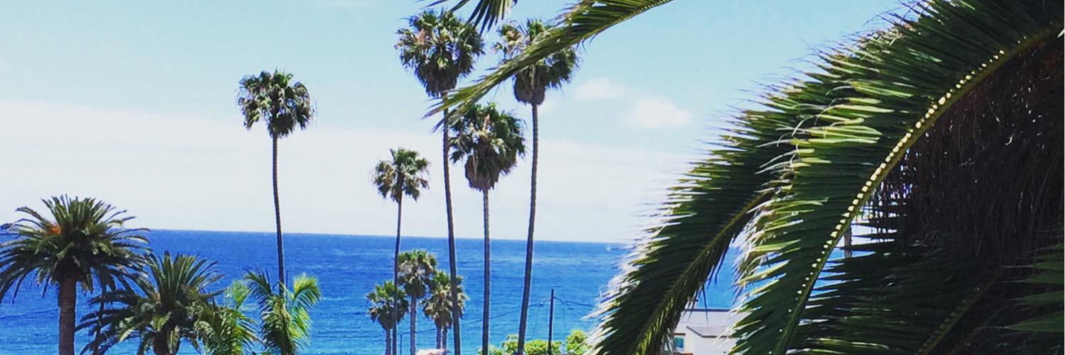 therealalysso's profile banner image