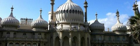 Ali Hoyle banner