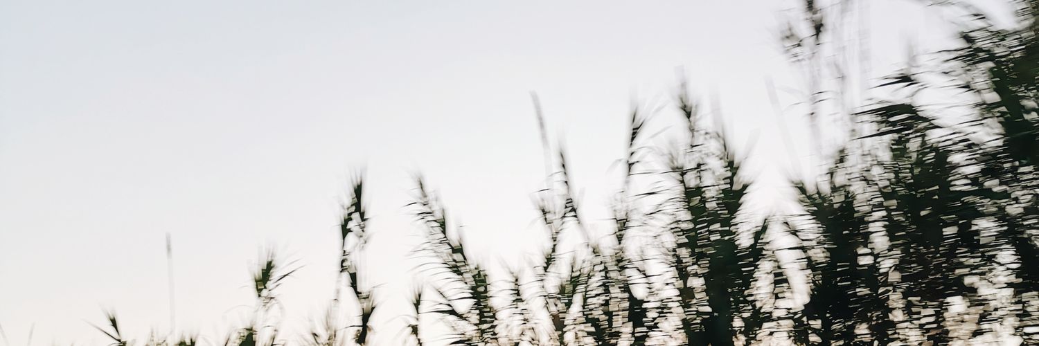 mvalles15's profile banner image