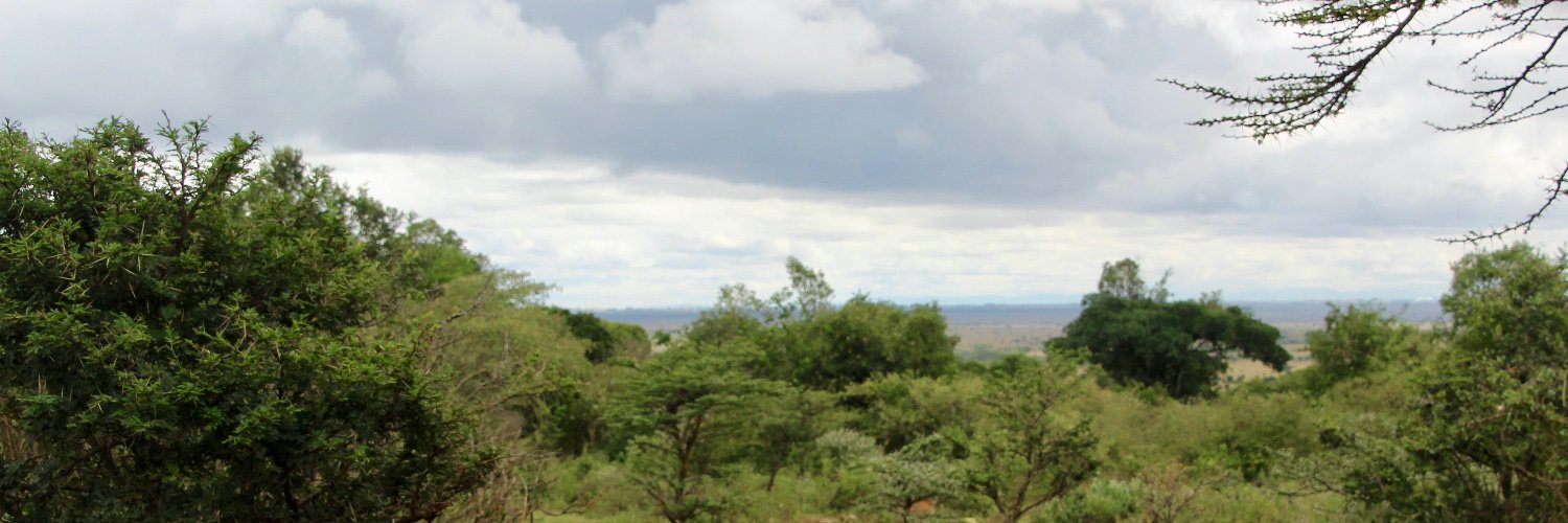 MaryD_NC's profile banner image
